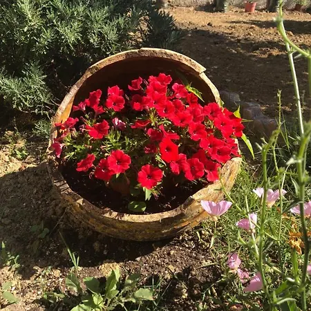 Bella Vista And מלון דירות