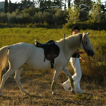 Bella Vista And 3* ליקסורי